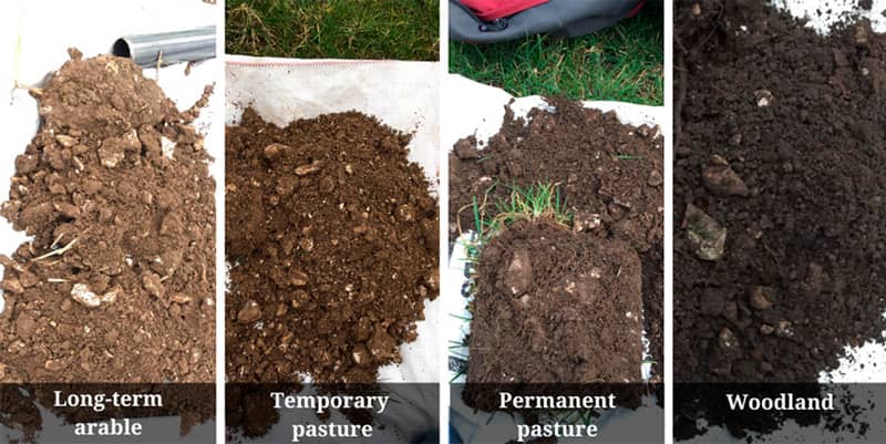 Soil samples