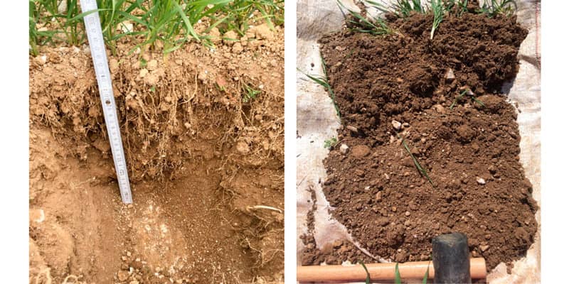 Soil testing at Hemsworth Farm