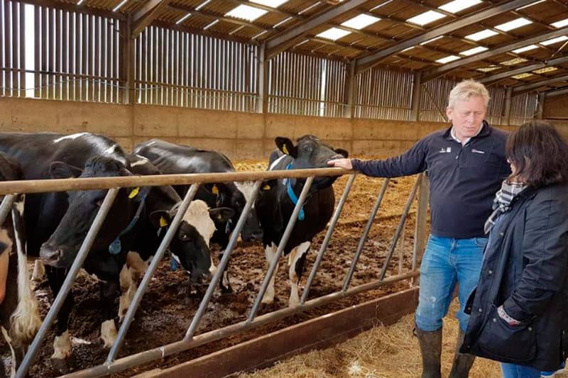 Pete Cheek of Godminster Farm