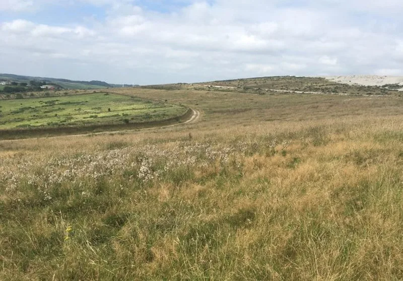 China clay, looking across to spoil heaps in the distance
