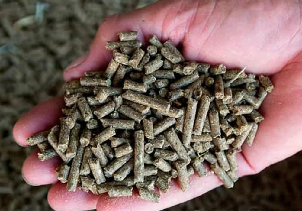 Animal feed