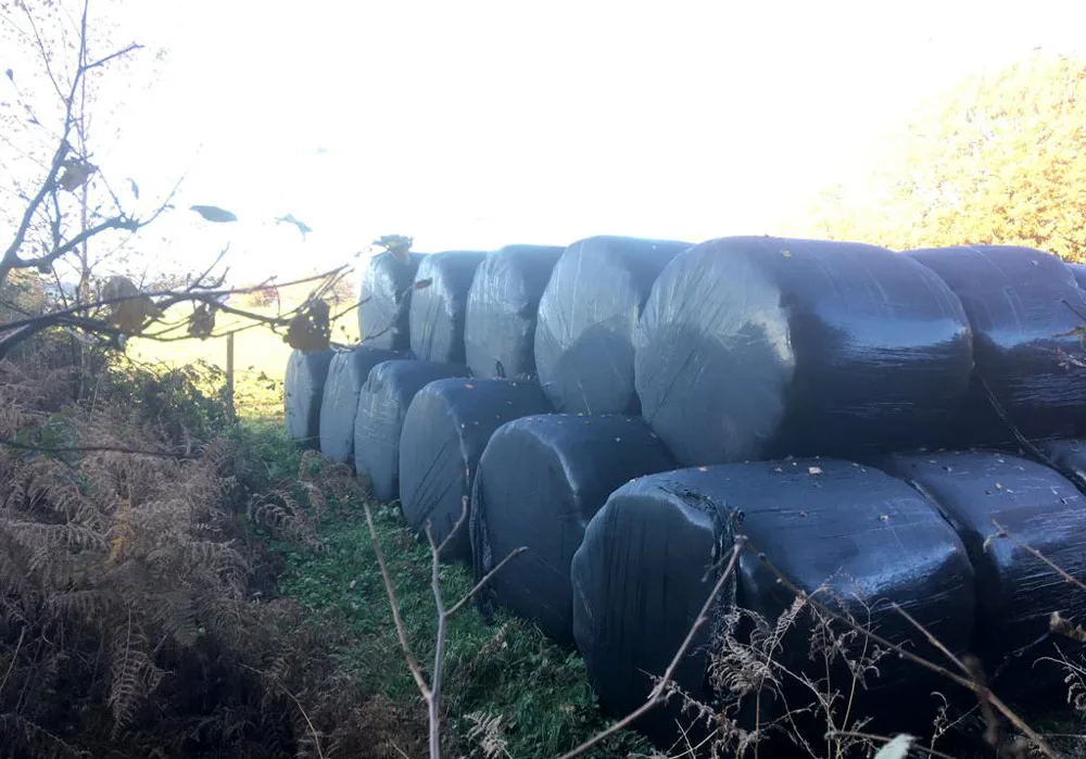 Hay bales
