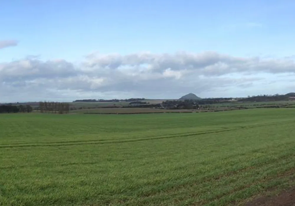 Successful establishment of winter wheat