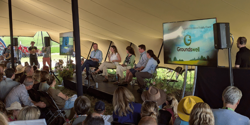 Groundswell Festival 2024
