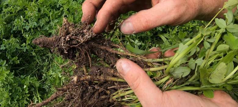 Sustainable Farming Incentive, SAM3, Soil health